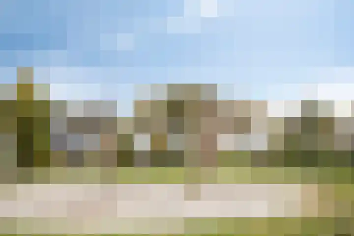 Van der Sevenderlaan 7 Renswoude thumbnail 26