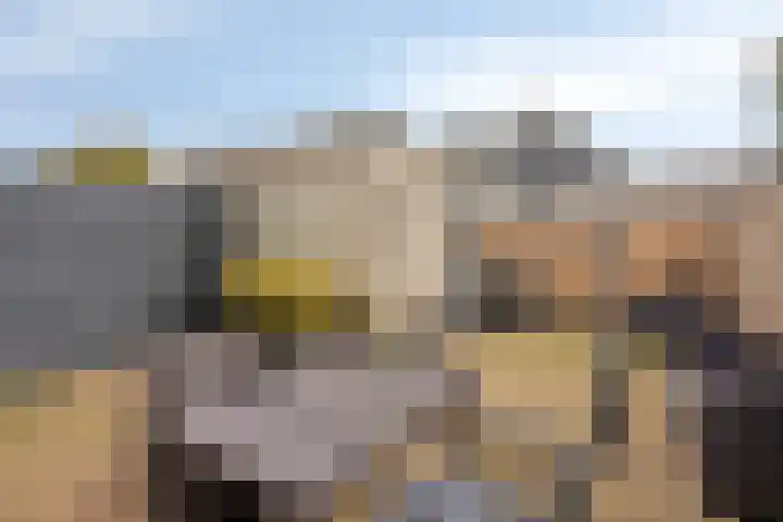 Van der Sevenderlaan 7 Renswoude thumbnail 5