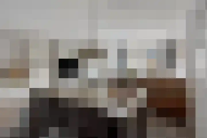 Van der Sevenderlaan 7 Renswoude thumbnail 9