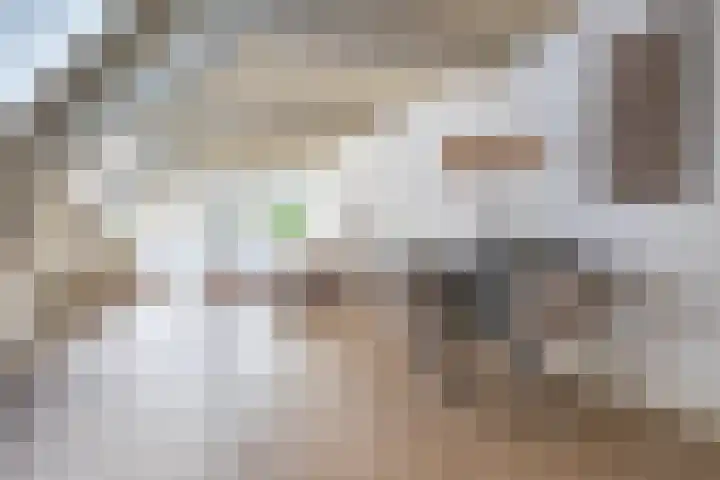 Logo Van der Sijs makelaardij