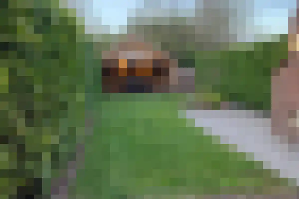 van der Slikkestraat 5 Schoondijke thumbnail 22