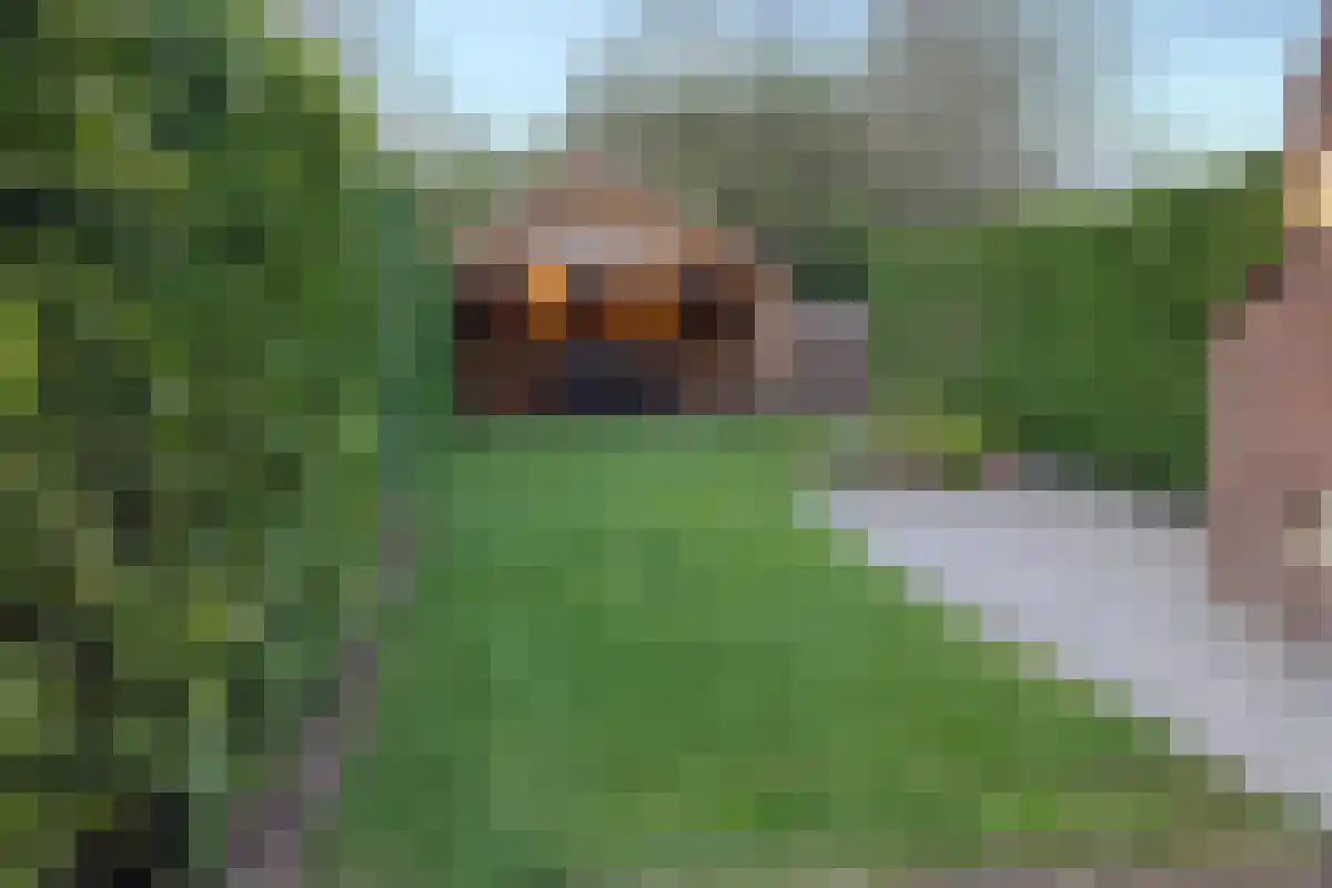 van der Slikkestraat 5 Schoondijke thumbnail 22
