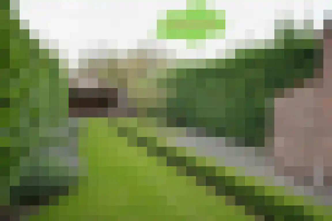 van der Slikkestraat 5 Schoondijke thumbnail 30