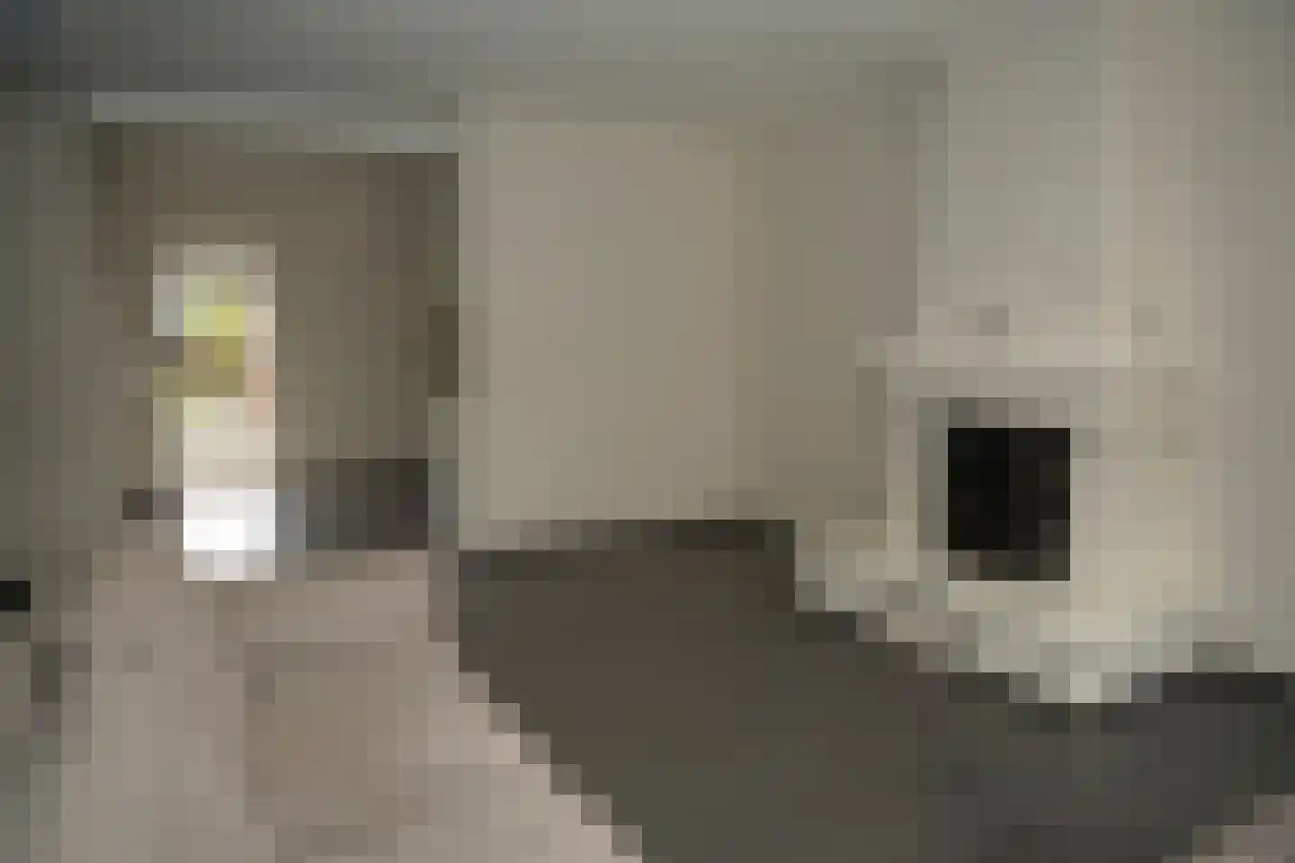 van der Slikkestraat 5 Schoondijke thumbnail 9