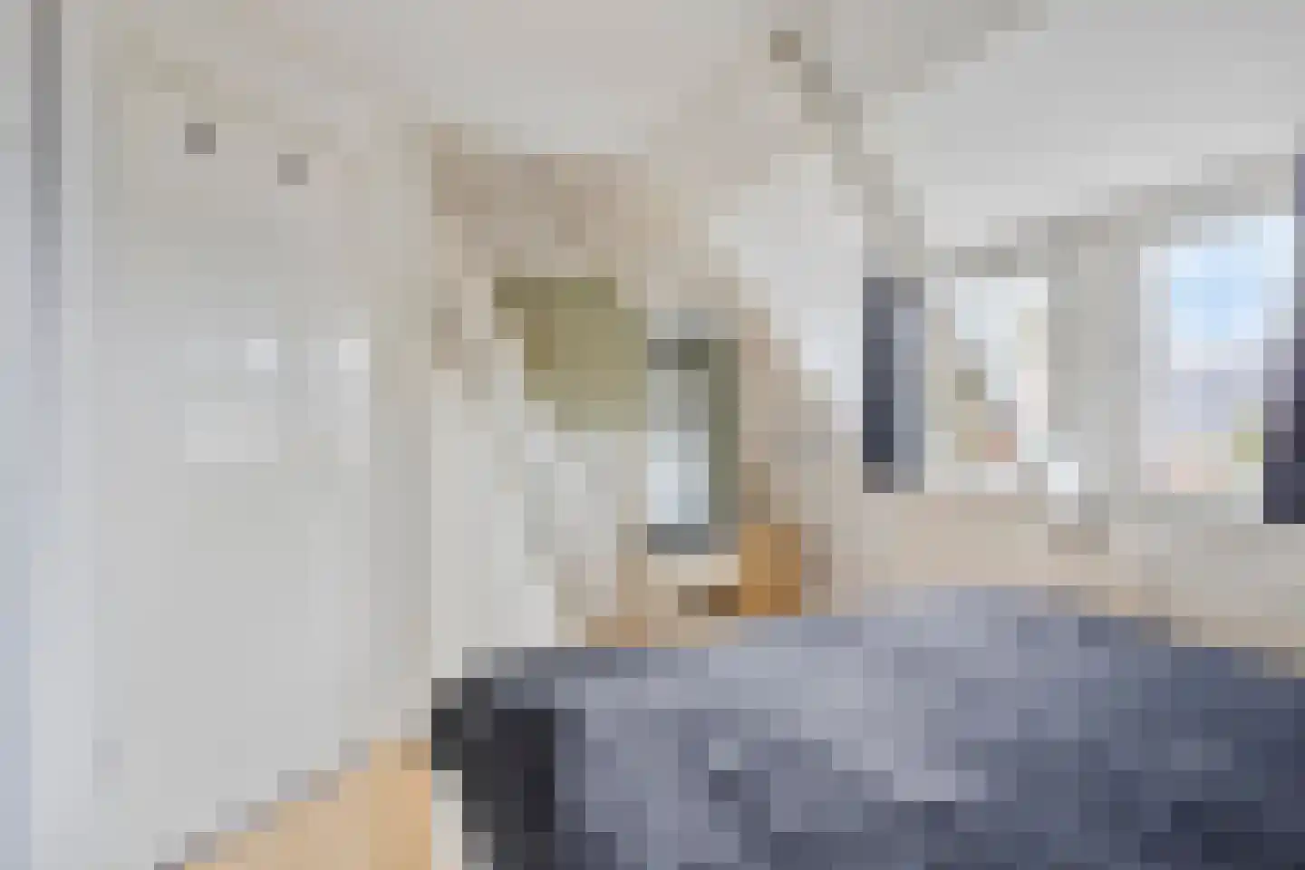 van der Sluislaan 6 Heerenveen thumbnail 21