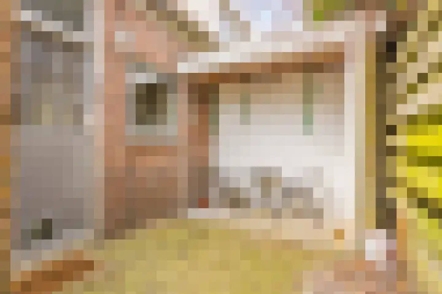 van der Sluislaan 6 Heerenveen thumbnail 4