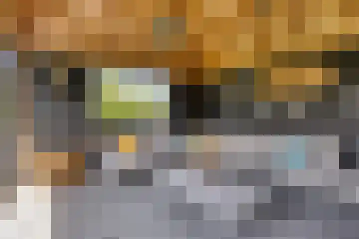 Van der Sluisstraat 10 Bergentheim thumbnail 32