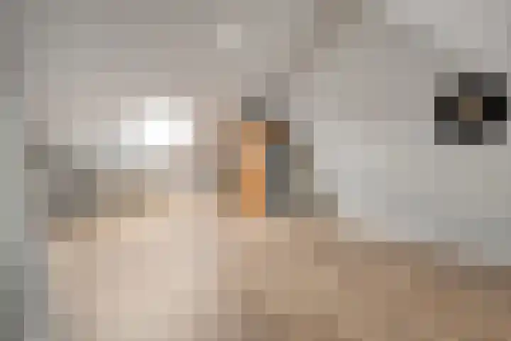 Van der Sluisstraat 37 Bergentheim thumbnail 28
