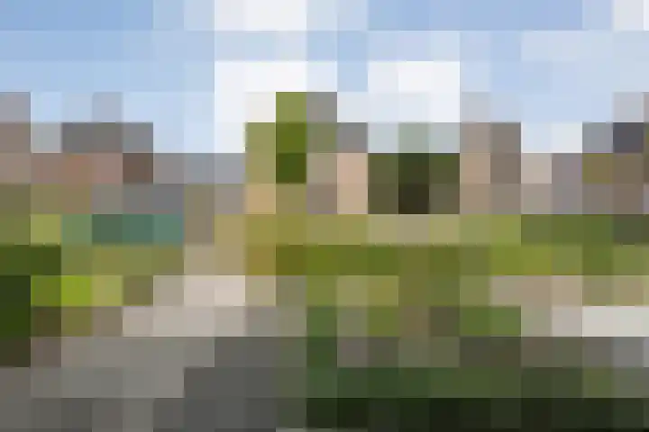 Van der Sluisstraat 37 Bergentheim thumbnail 5