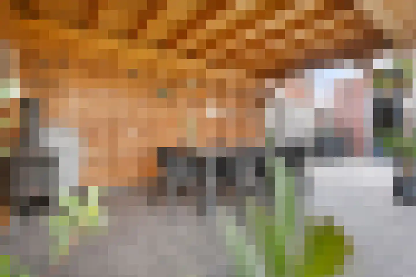 Van der Sluisstraat 40 Bergentheim thumbnail 35