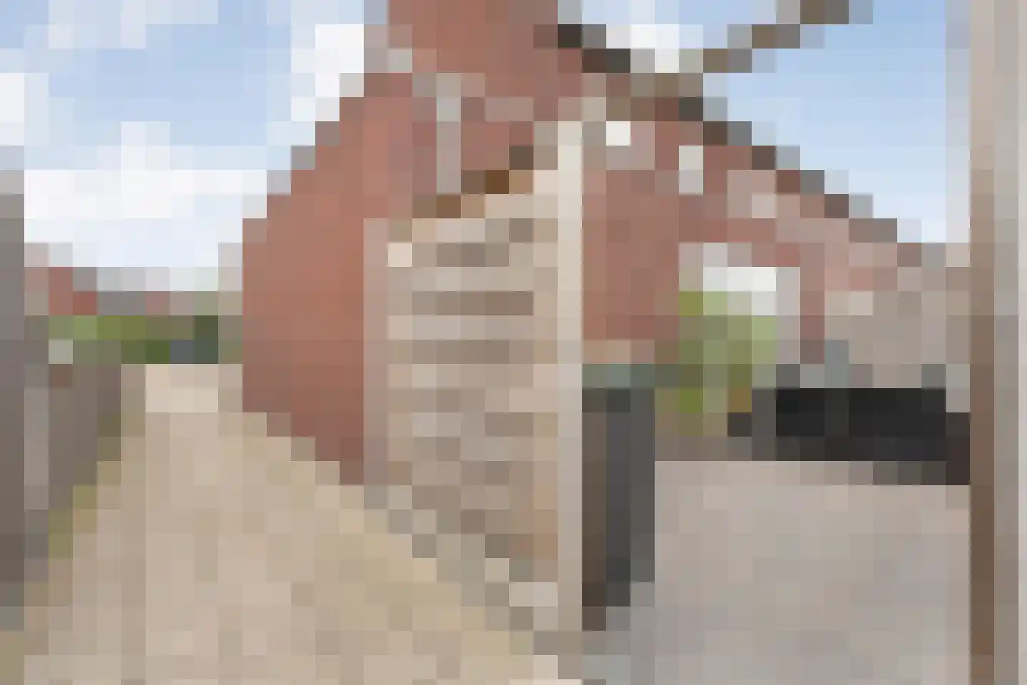 Van der Sluisstraat 40 Bergentheim thumbnail 40