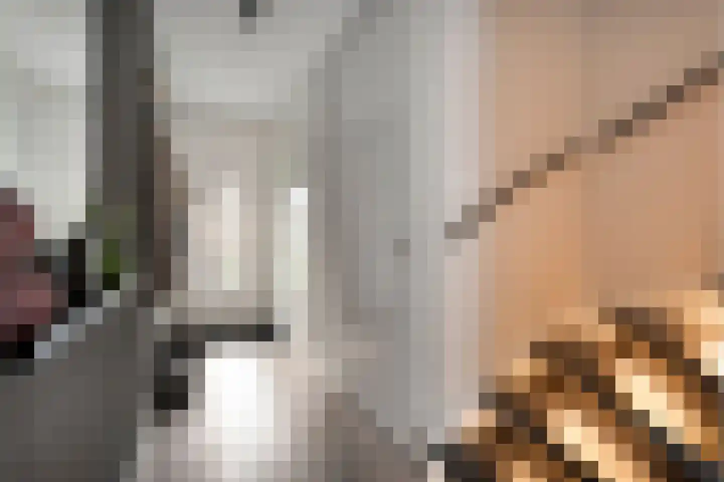 Van der Sluisstraat 40 Bergentheim thumbnail 7