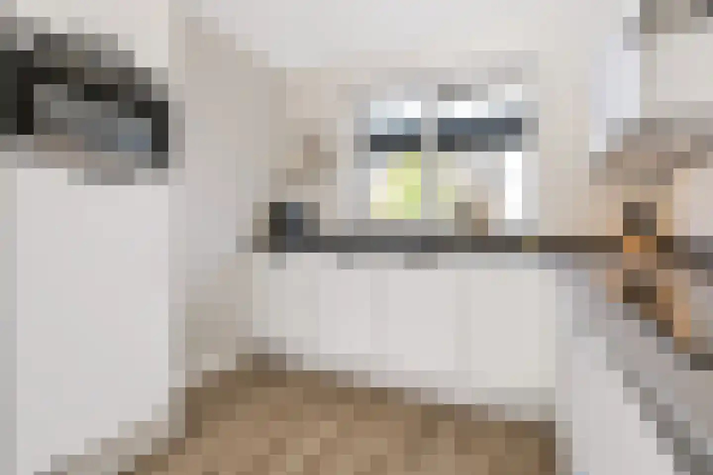 Van der Sluisstraat 47 Bergentheim thumbnail 21