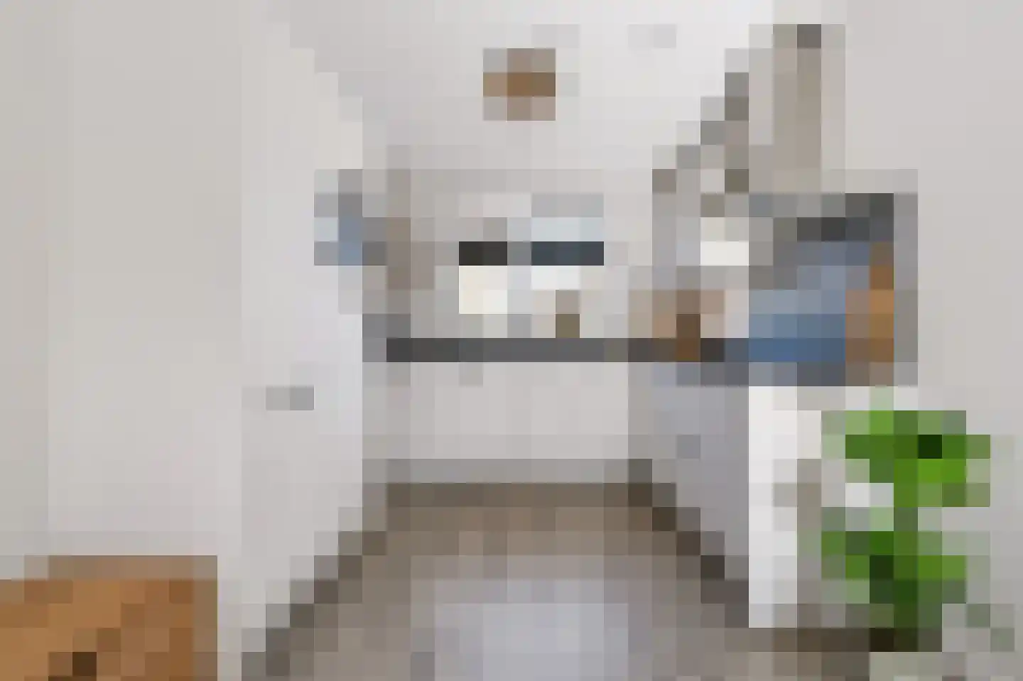 Van der Sluisstraat 47 Bergentheim thumbnail 4