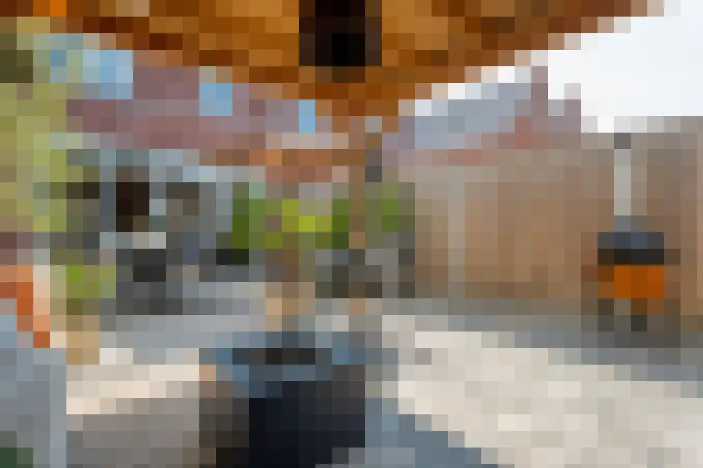 Van der Sluisstraat 50 Bergentheim thumbnail 30