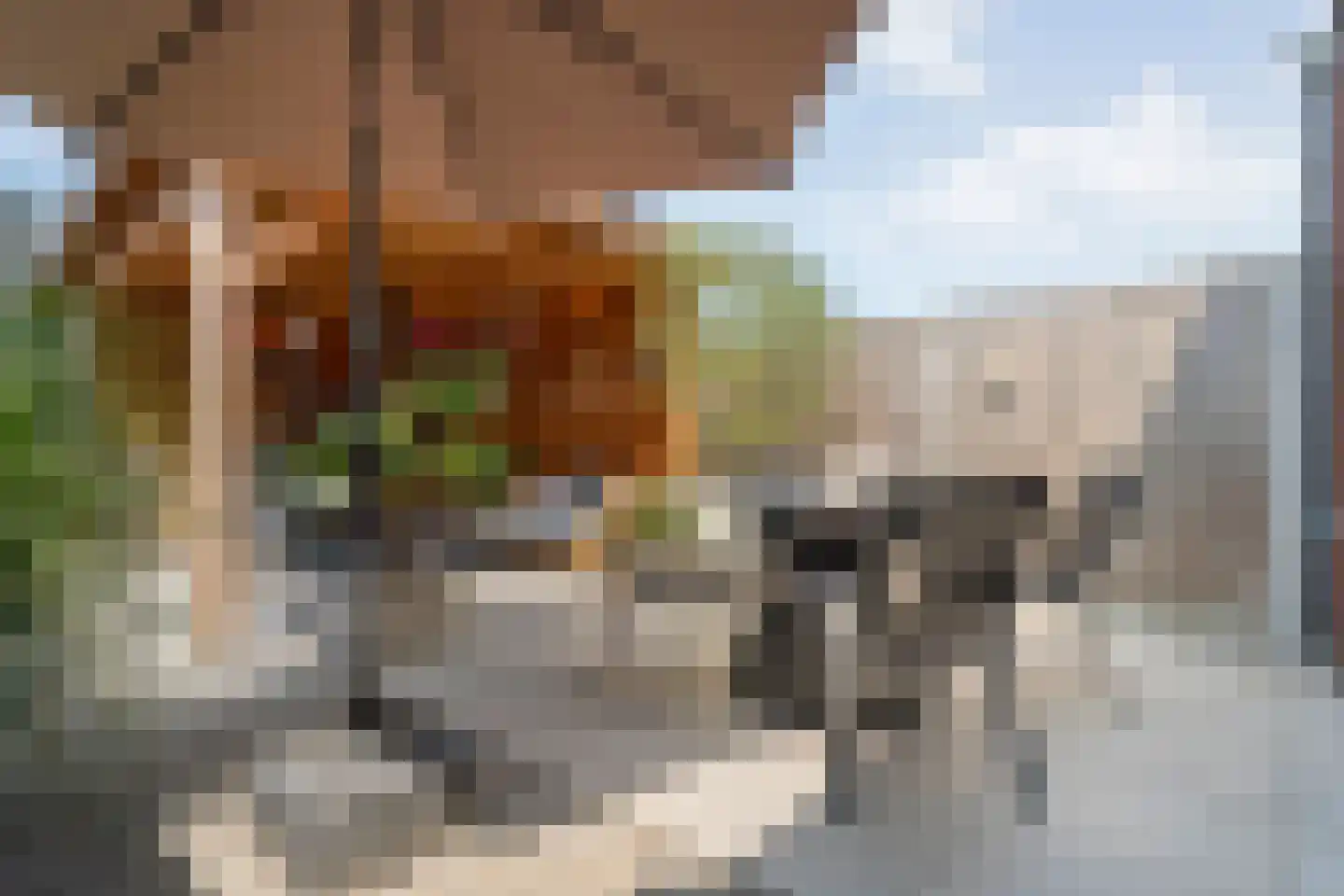Van der Sluisstraat 50 Bergentheim thumbnail 32