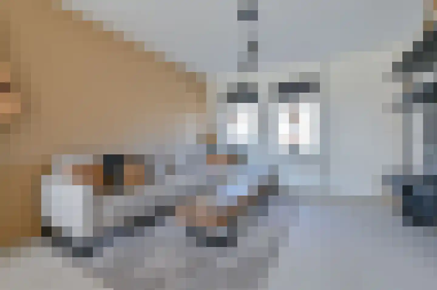 van der Sluisweg 10 a Noordscheschut thumbnail 9