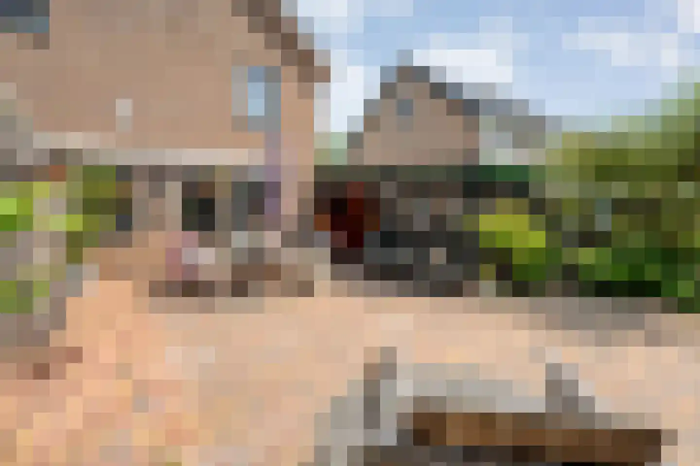 van der Sluisweg 19 Noordscheschut thumbnail 36