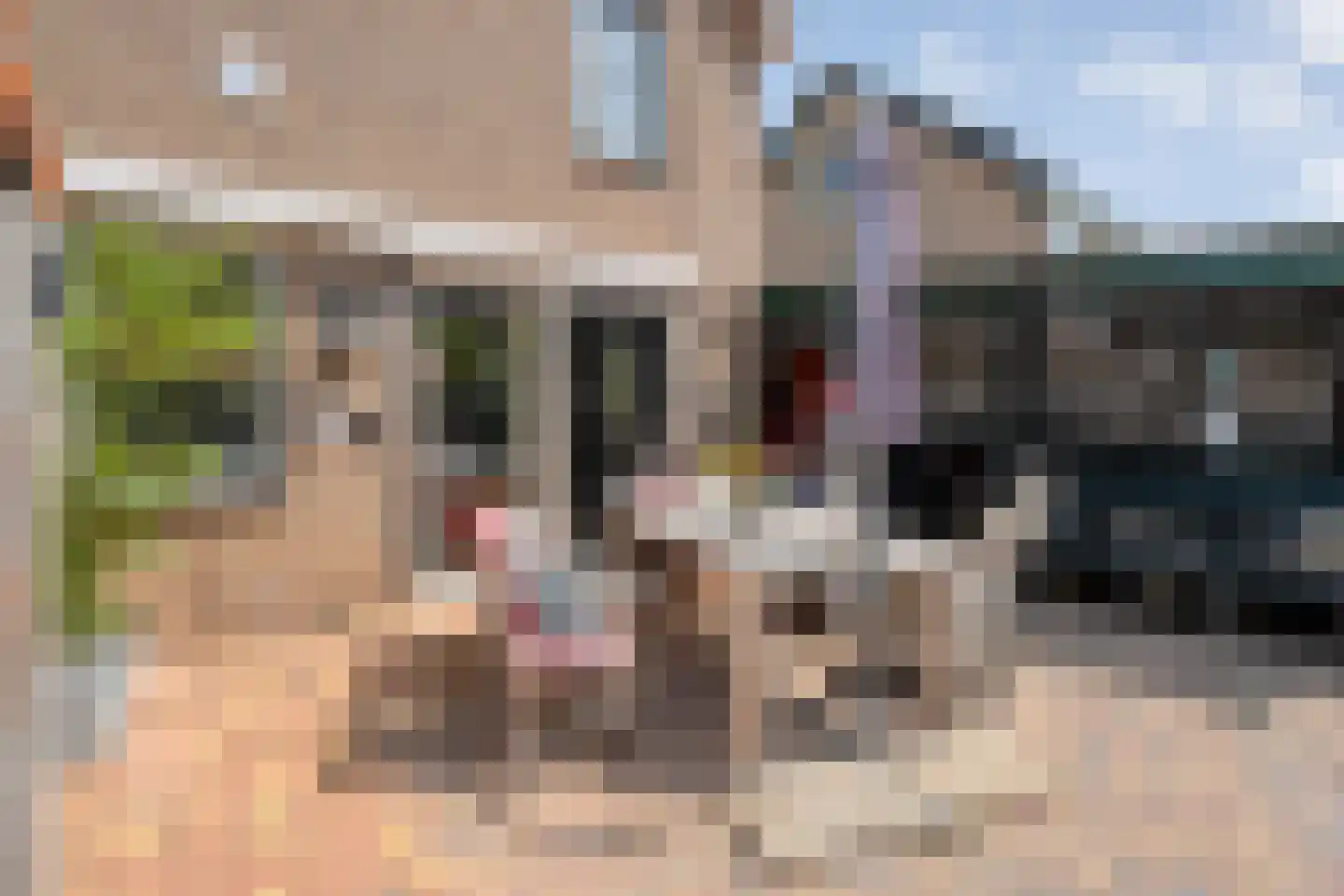 van der Sluisweg 19 Noordscheschut thumbnail 38