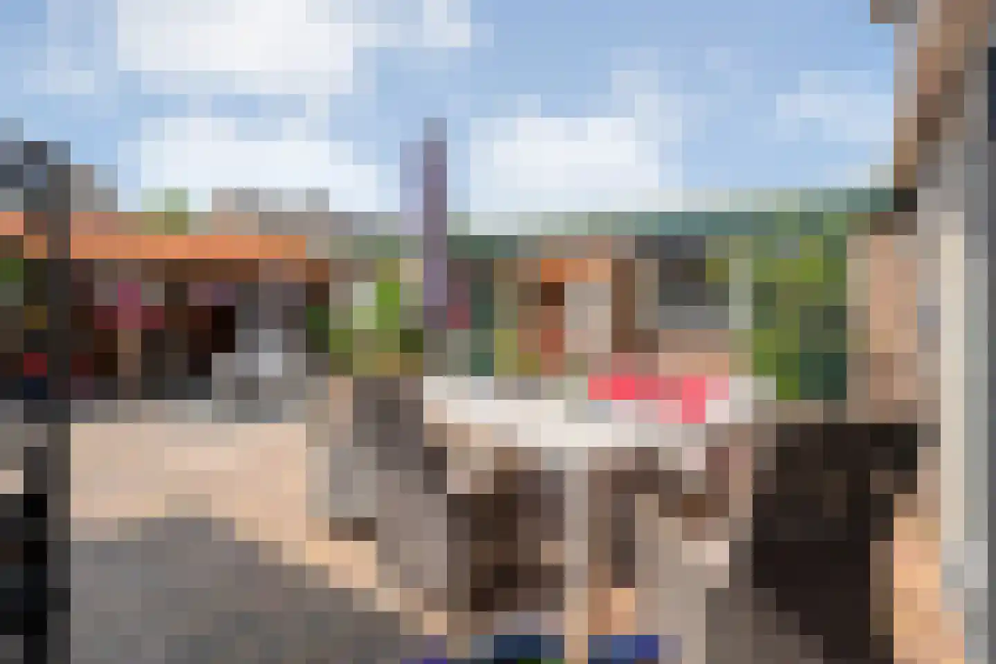 van der Sluisweg 19 Noordscheschut thumbnail 42