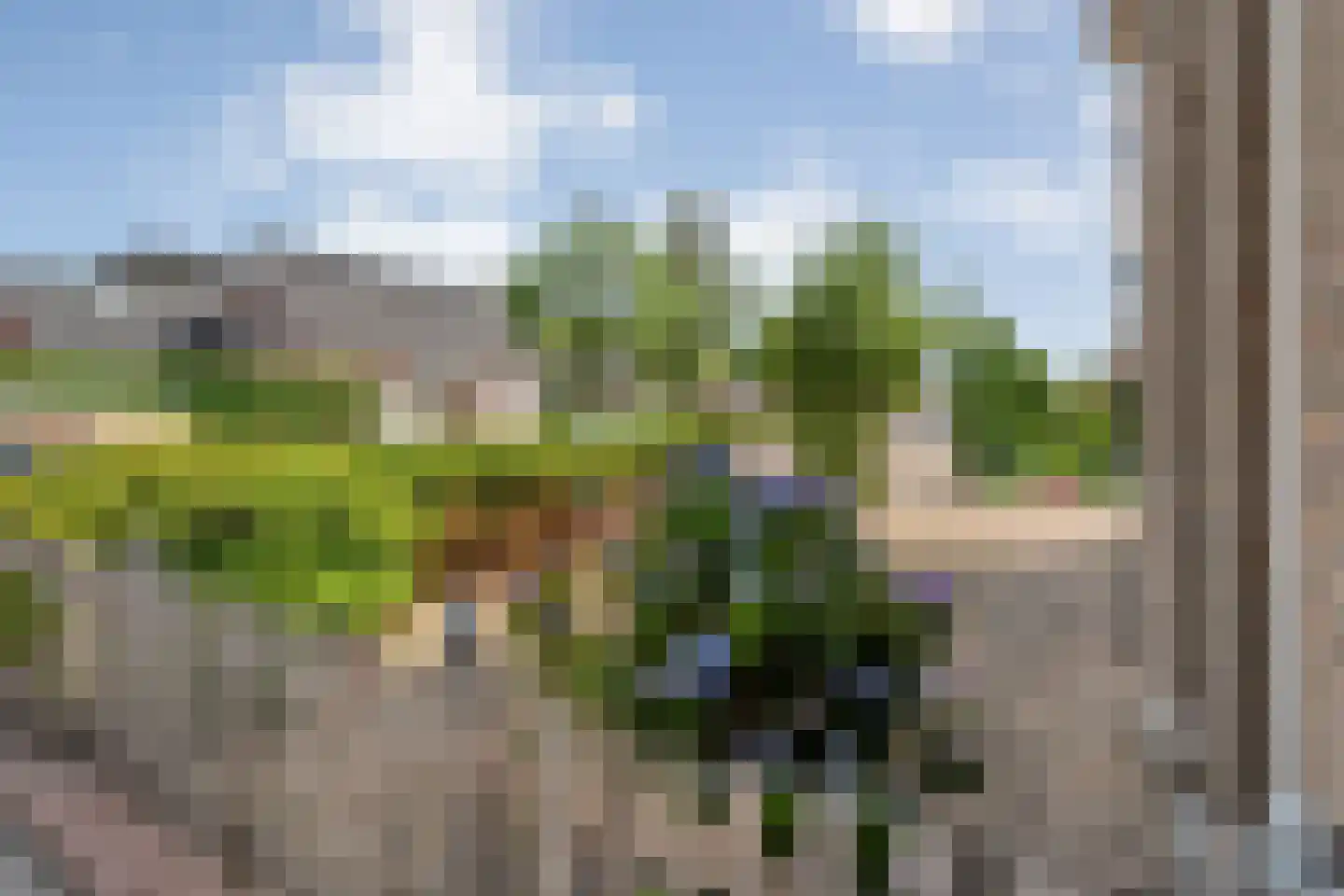 van der Sluisweg 19 Noordscheschut thumbnail 47