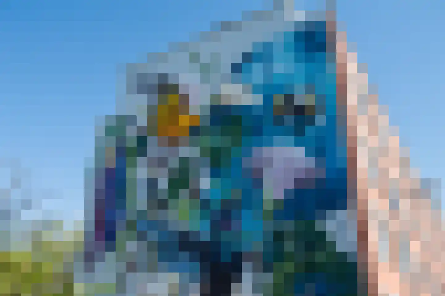 Van der Sluysstraat 1 B Rotterdam thumbnail 20
