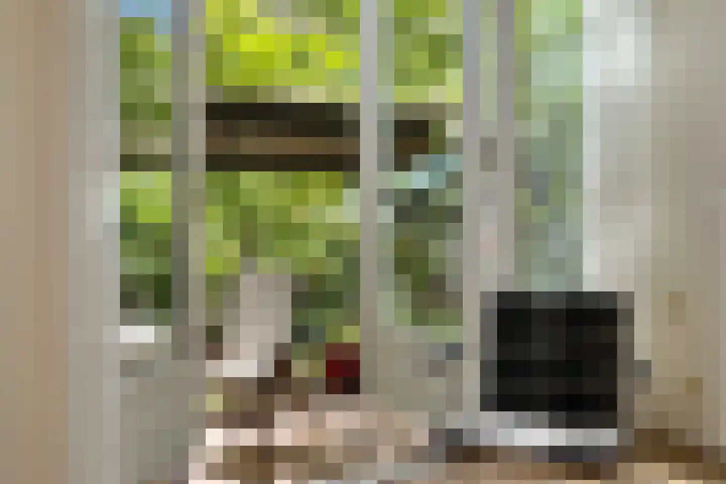 Van der Sluysstraat 81 A Rotterdam thumbnail 6