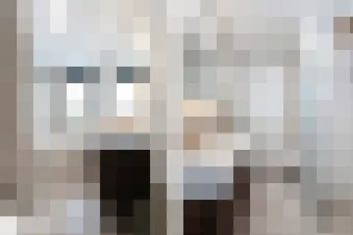 Van der Steenhovenplein 74 Dordrecht thumbnail 18