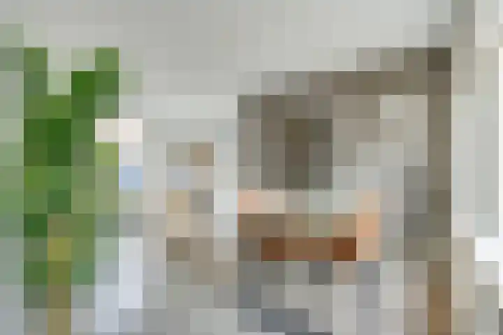Van der Steenstraat 10 Utrecht thumbnail 15