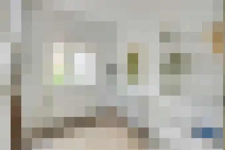 Van der Steenstraat 10 Utrecht thumbnail 17