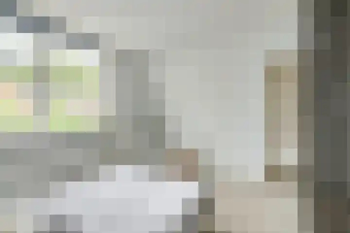 Van der Steenstraat 10 Utrecht thumbnail 20