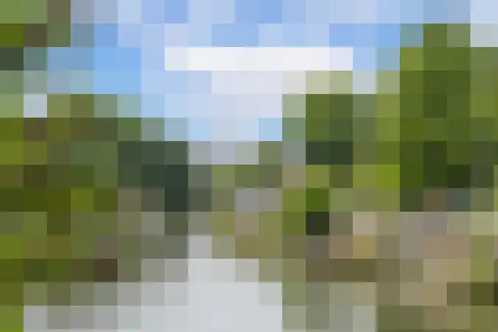 Van der Steenstraat 10 Utrecht thumbnail 37