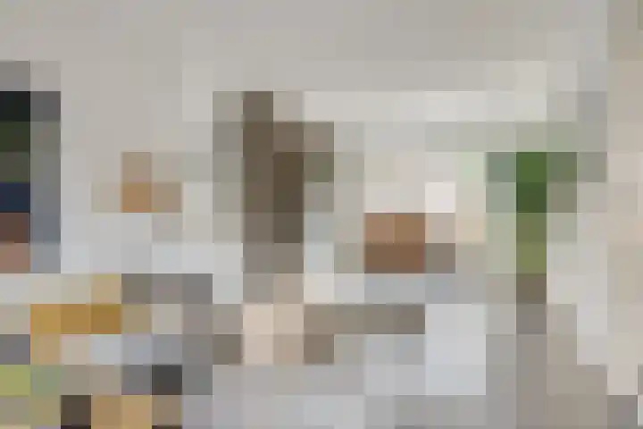 Van der Steenstraat 10 Utrecht thumbnail 8
