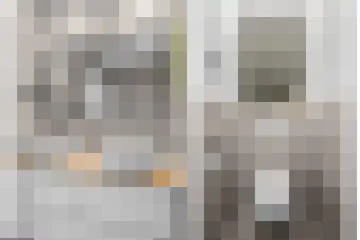 Van der Steenstraat 13 Utrecht thumbnail 37