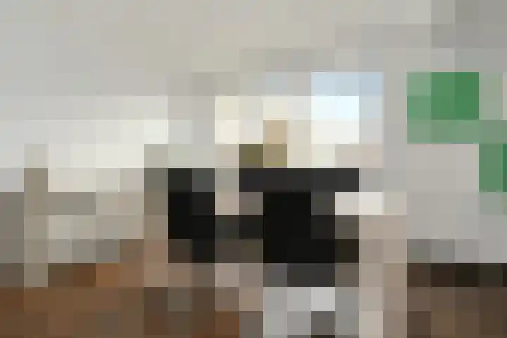 van der Steenstraat 45 Meijel thumbnail 12