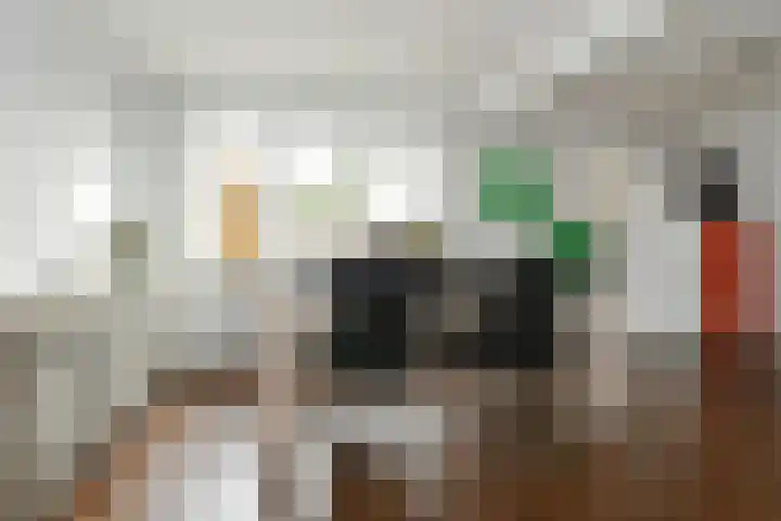 van der Steenstraat 45 Meijel thumbnail 13