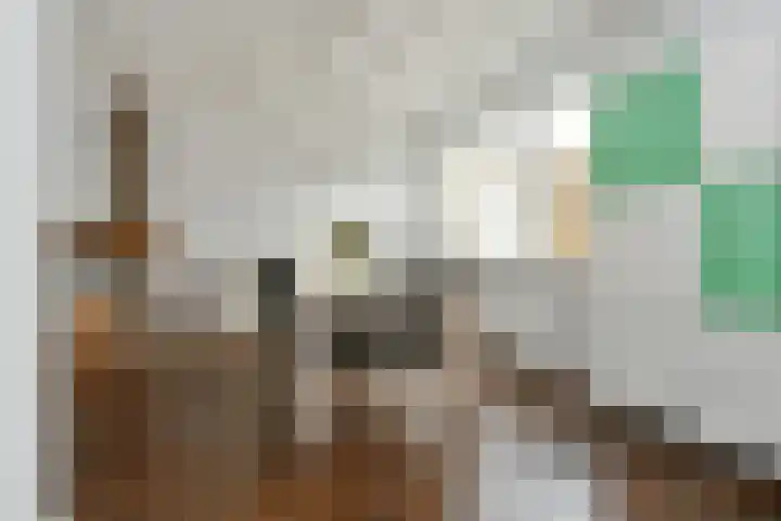 van der Steenstraat 45 Meijel thumbnail 7