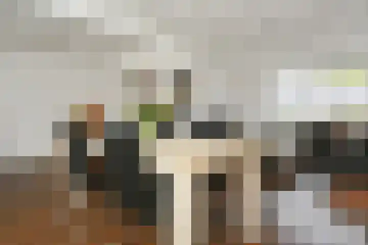 van der Steenstraat 45 Meijel thumbnail 9