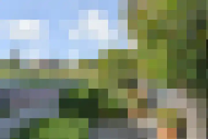 Van der Stoklaan 3 Den Haag thumbnail 4
