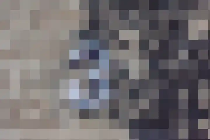 Van der Stoklaan 3 Den Haag thumbnail 5