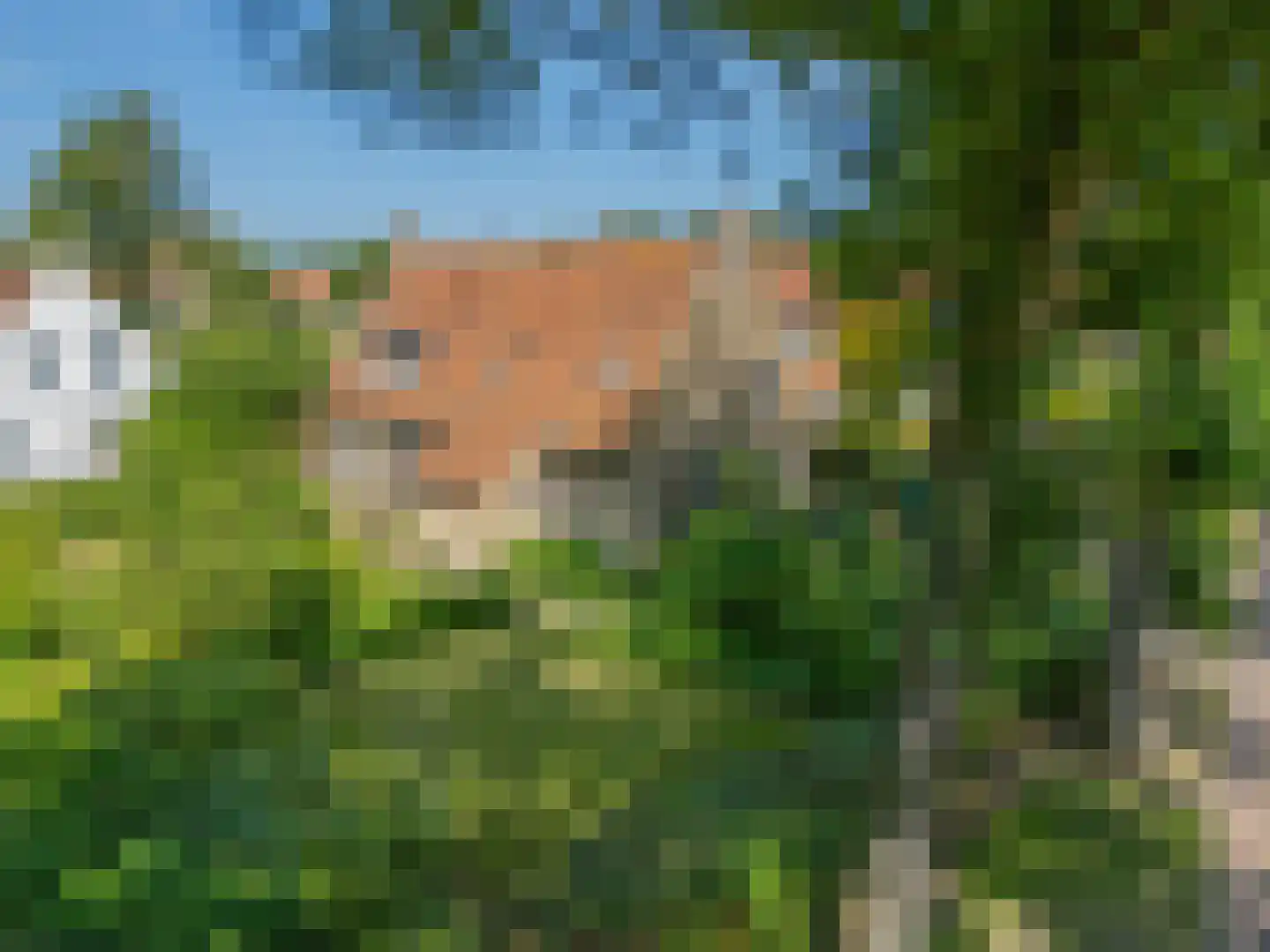 van der Stratenweg 3 Nes thumbnail 13