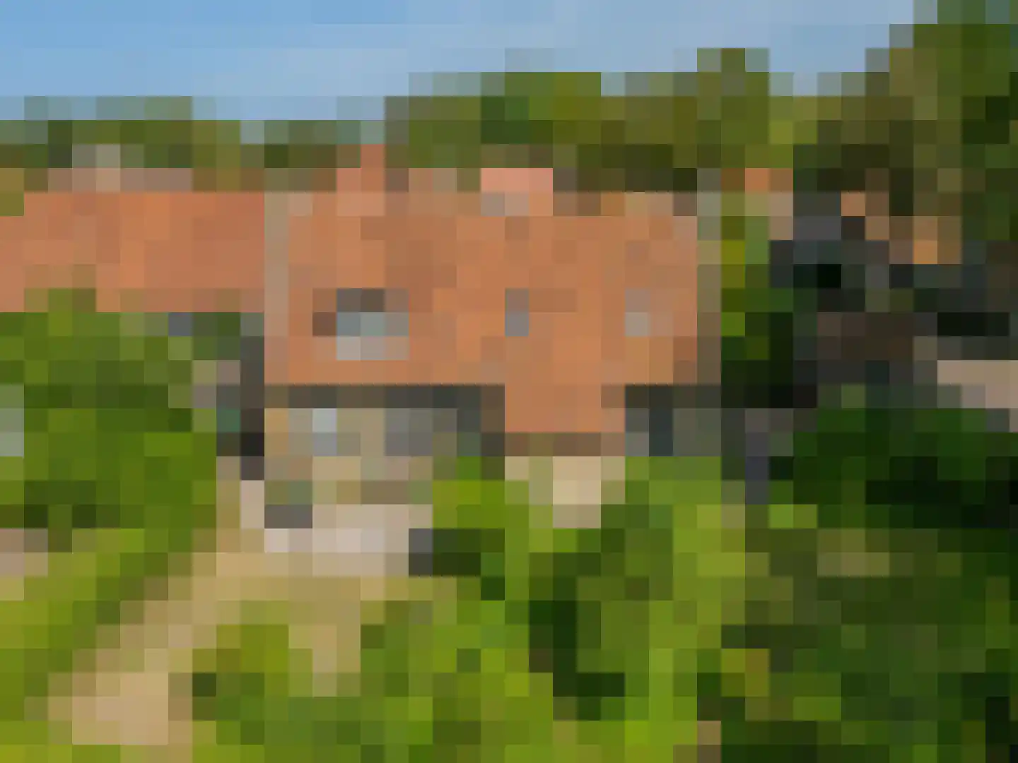 van der Stratenweg 3 Nes thumbnail 14