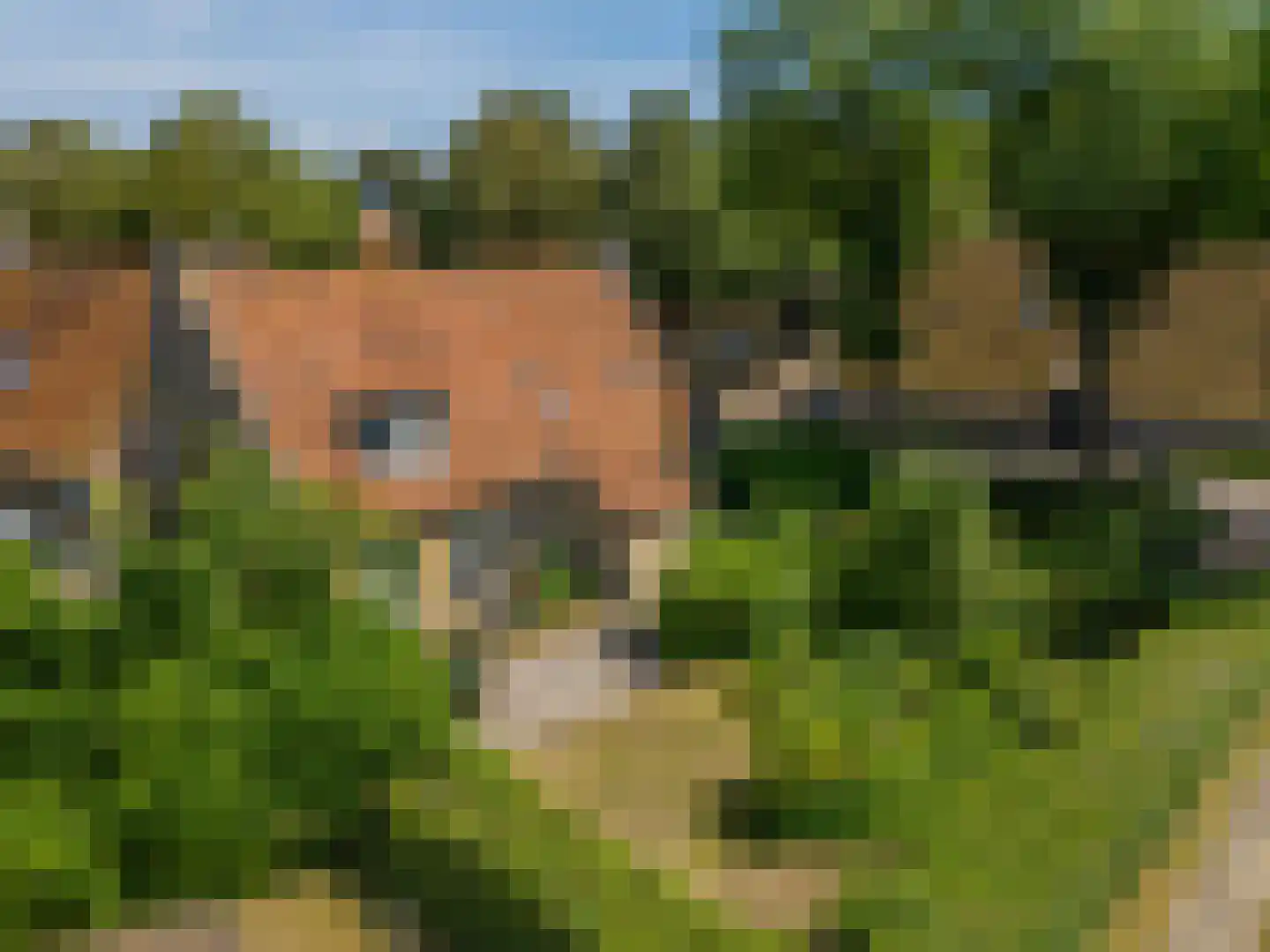 van der Stratenweg 3 Nes thumbnail 15