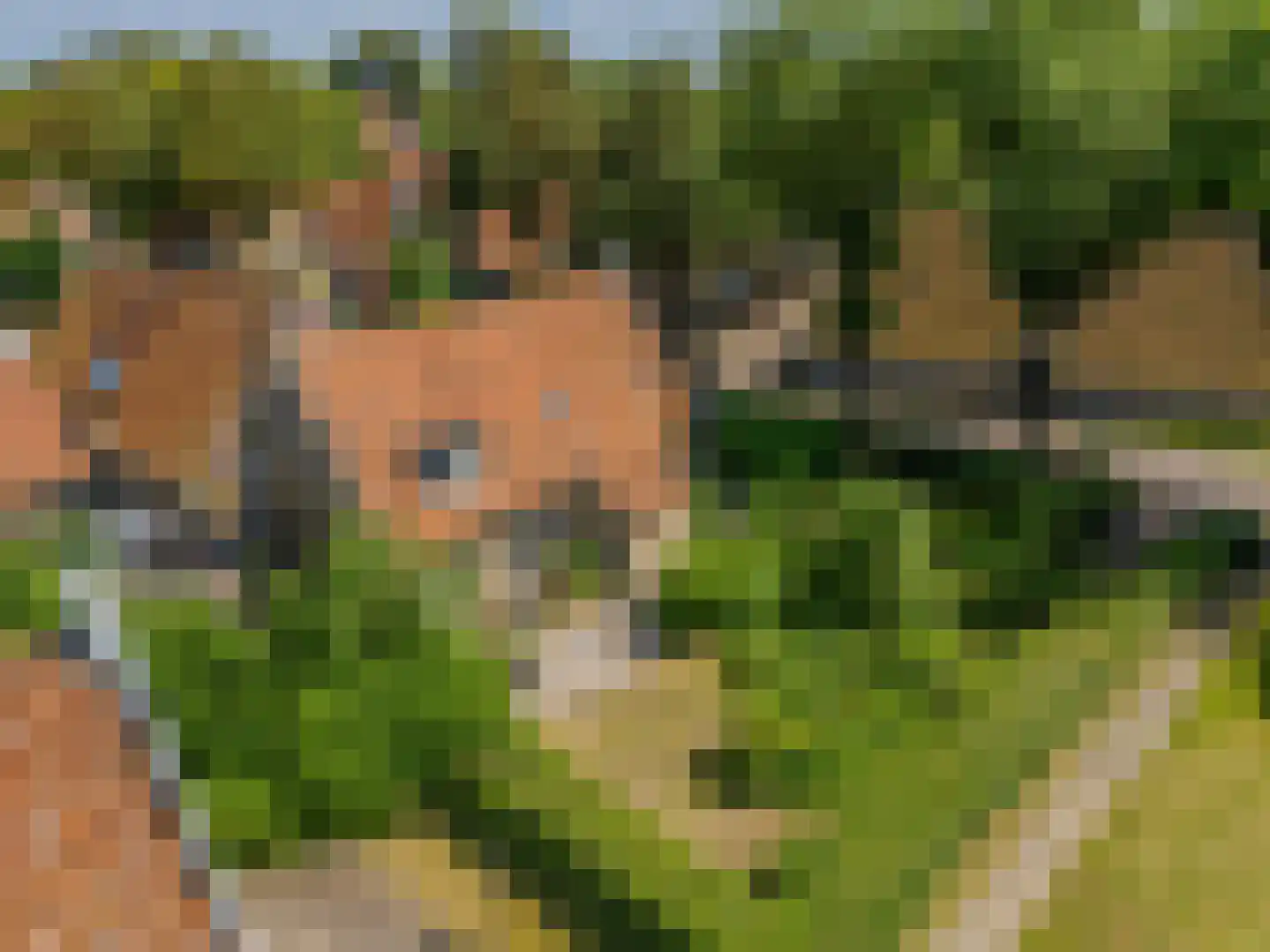 van der Stratenweg 3 Nes thumbnail 16