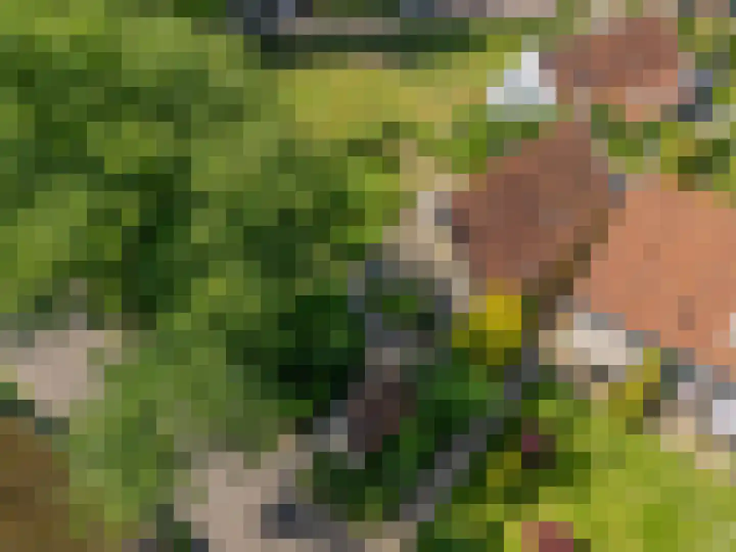 van der Stratenweg 3 Nes thumbnail 17