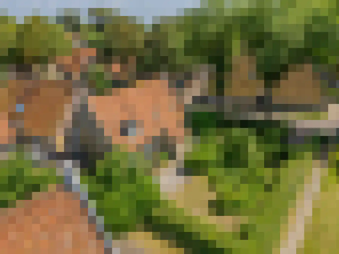 van der Stratenweg 3 Nes thumbnail 18