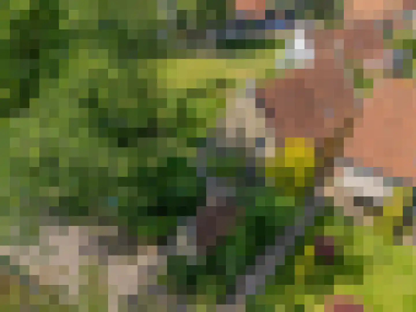 van der Stratenweg 3 Nes thumbnail 19