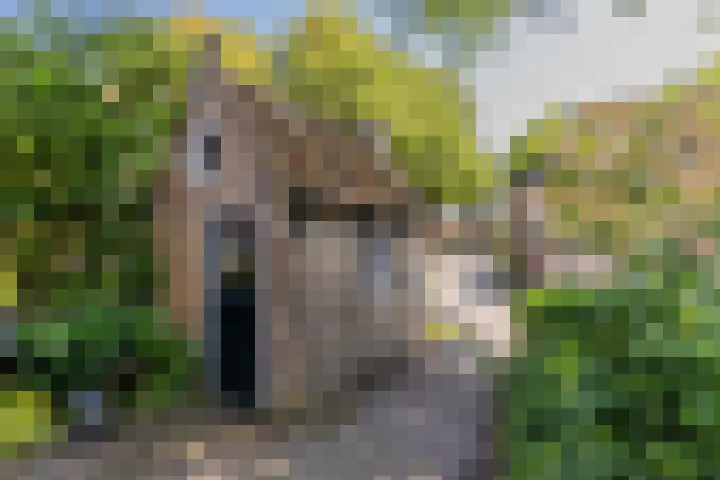 van der Stratenweg 3 Nes thumbnail 5
