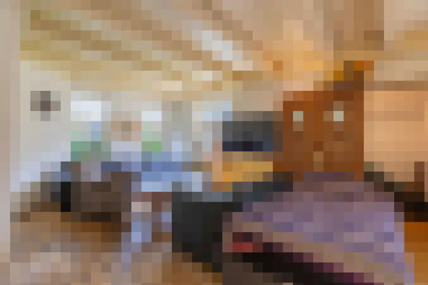 van der Stratenweg 3 Nes thumbnail 7