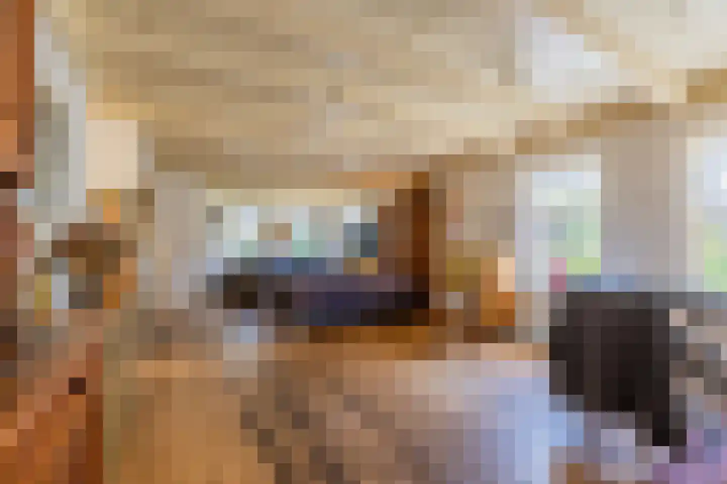 van der Stratenweg 3 Nes thumbnail 8